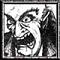 пRотон (+)'s Avatar